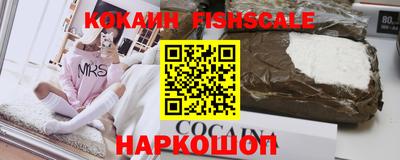 дмт Гатчина