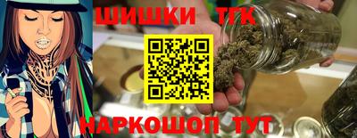 дмт Гатчина