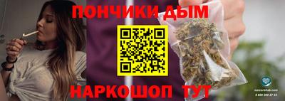 дмт Гатчина