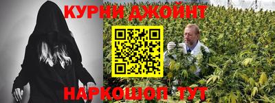 дмт Гатчина