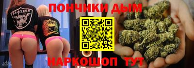 дмт Гатчина