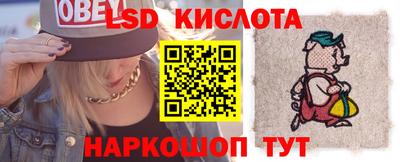 дмт Гатчина