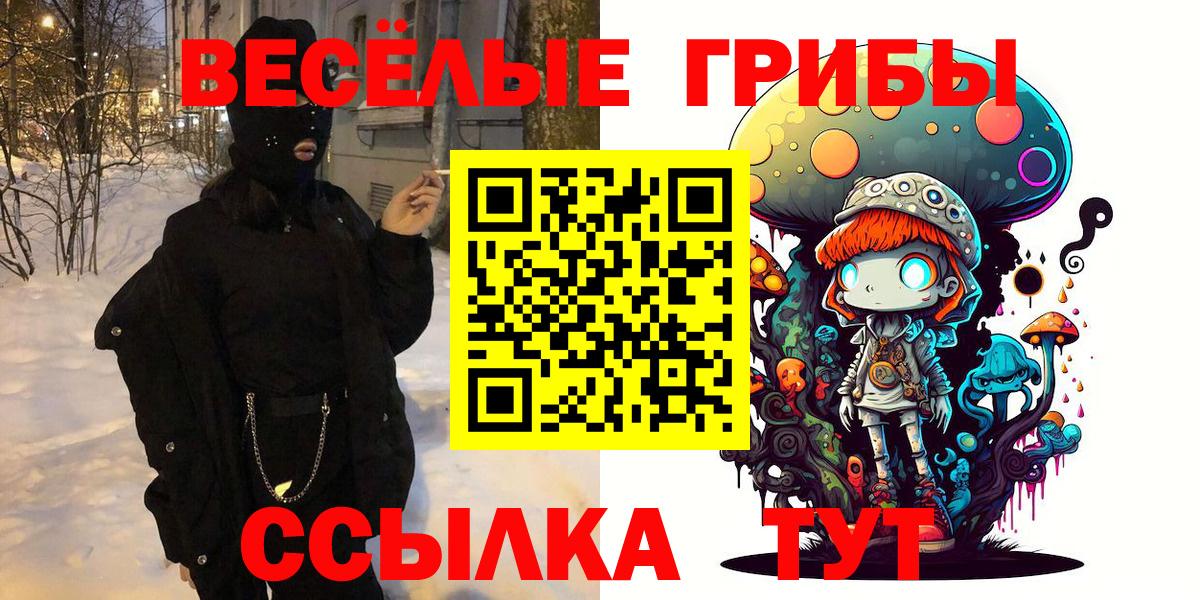 Галлюциногенные грибы Psilocybine cubensis Назрань