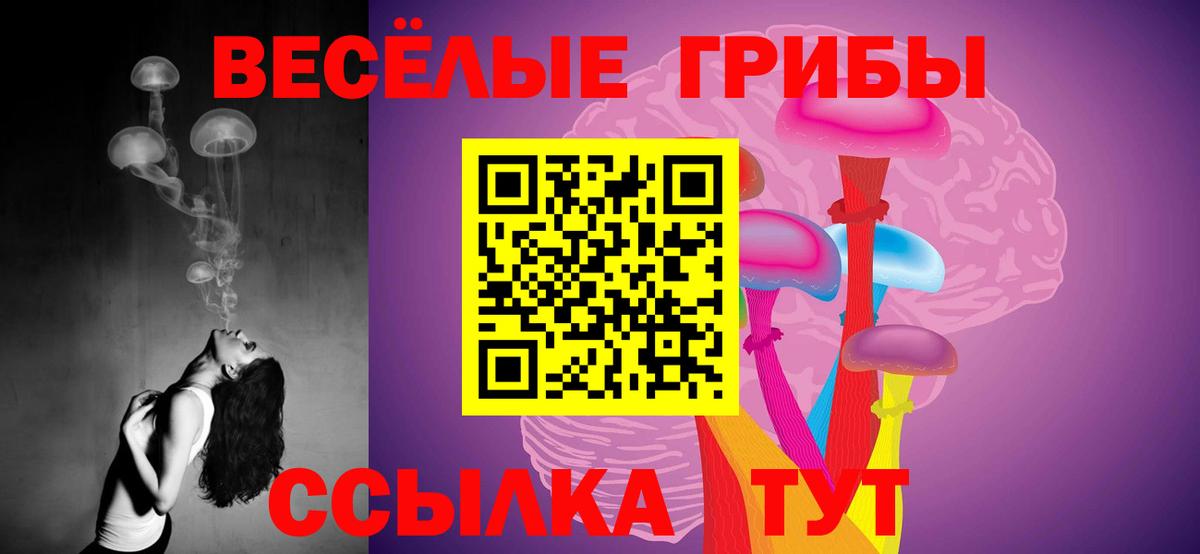 Назрань  Галлюциногенные грибы GOLDEN TEACHER  Галлюциногенные грибы GOLDEN TEACHER  Вход с VPN 